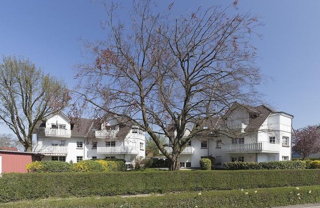 An der Alten Rotbuche