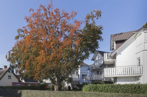 An der Alten Rotbuche, Whg 3