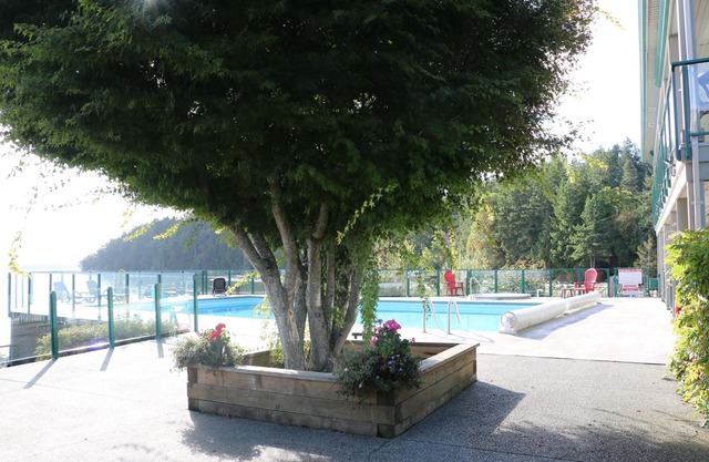 Anchor's End at Inn of the Sea. Ocean front, ground floor condo. Pet friendly.