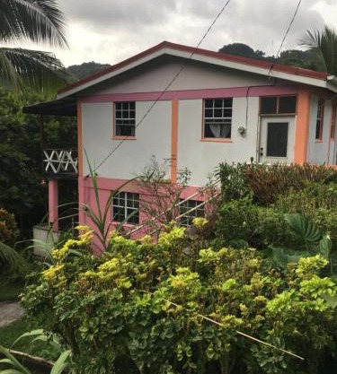 Anthurium Apartment