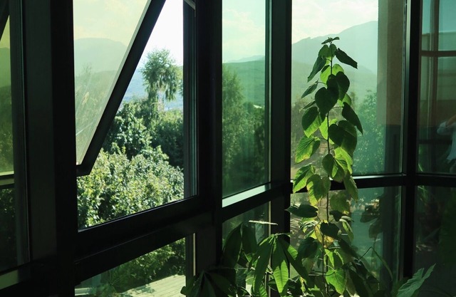 Antika Hotel