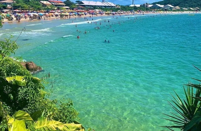 Apê em Ponta das Canas - 40m do mar