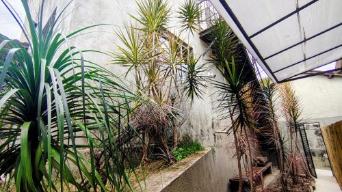 Ap 2 Kitnet Arena MRV