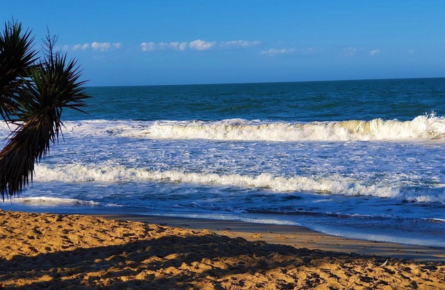 Ap Cancun Ed Papyrus Balneário Camboriú