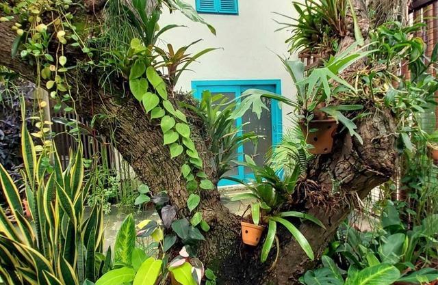 Apartamento Completo Standard Para até 3 Pessoas, Praia de Ponta Negra, Natal