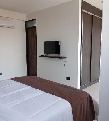 Apartamentos ARTECI