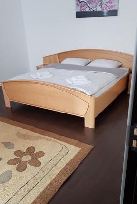 Apartament Central 