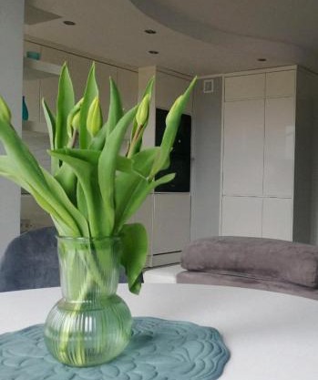 Apartament 35