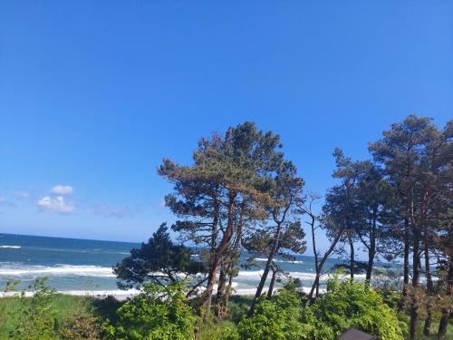 APARTAMENT BALTICHOFF FUN with Sea View, Basen, Spa, Gym, Sauna, Hala sportowa z kortem tenisowym