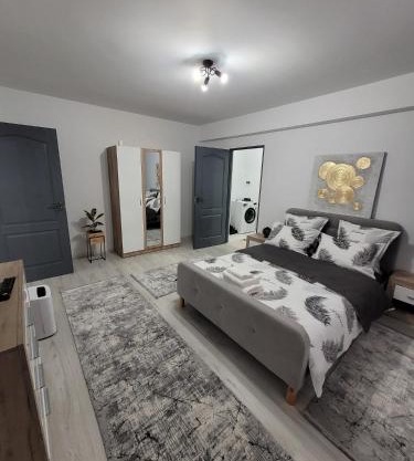 Apartament cu 1 camera -ANA