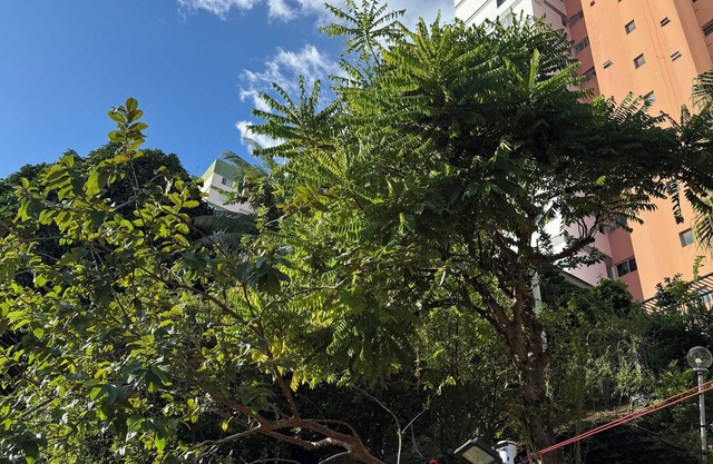 Apartamento perto de tudo em condomínio