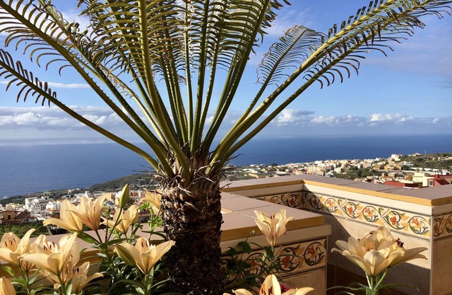 Apartamentos Estrella del Norte