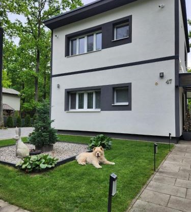 Apartmán Kocka na prízemí