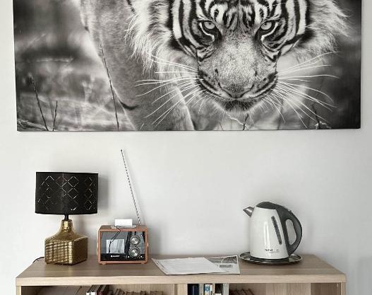 Apartmán Lodenica