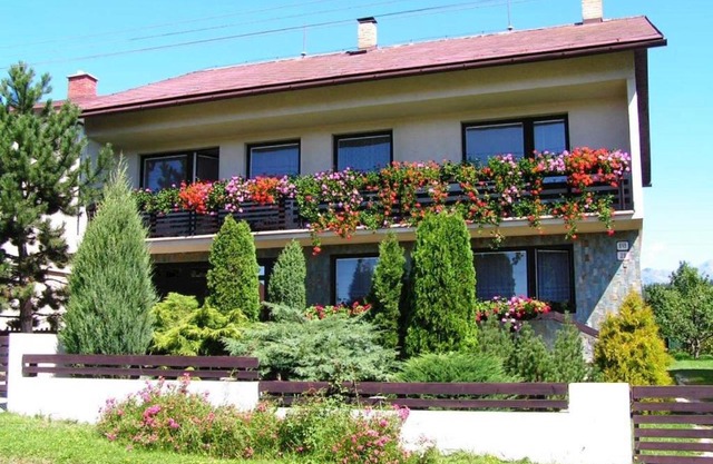 Apartmán Vika