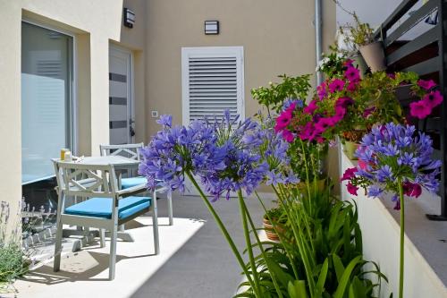 Apartman Festini