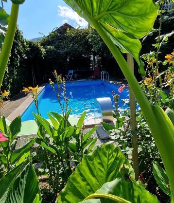 APARTMAN MURKO P-4