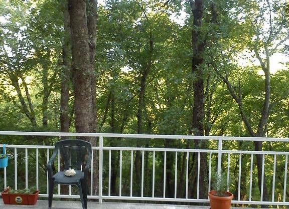 Apartman Viva