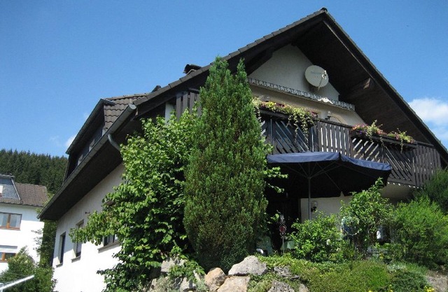 Apartment 'Am Patenberg' with Mountain View, Balcony and Wi-Fi