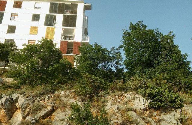 Apartment Anđela (48031-A1) - Senj