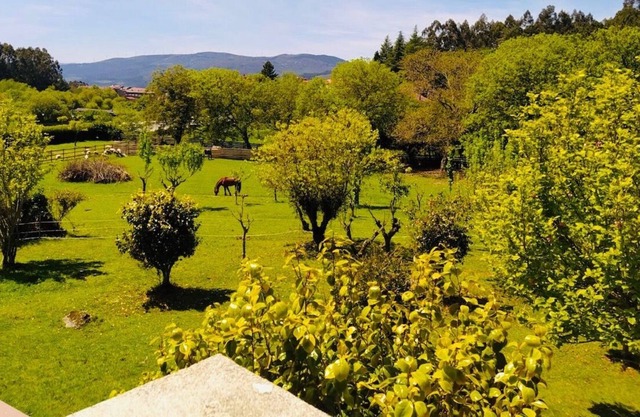 Apartment Briabí - 3 (144), large Finca with a natural pool