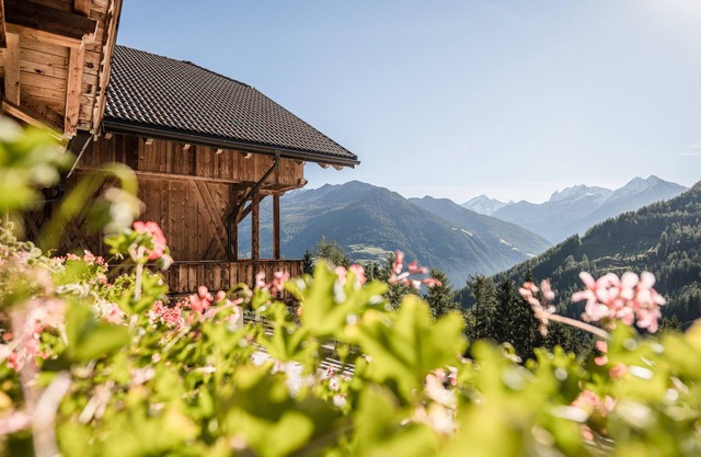 Apartment 'Bruneggerhof 1' with Mountain View, Private Garden and Wi-Fi