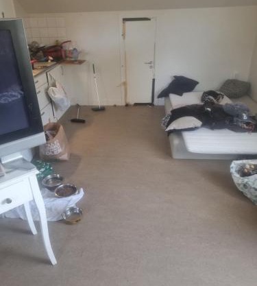 Apartment, Central chill too max
