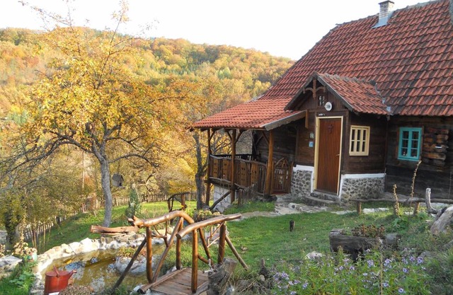 Apartment Cerova Kosa