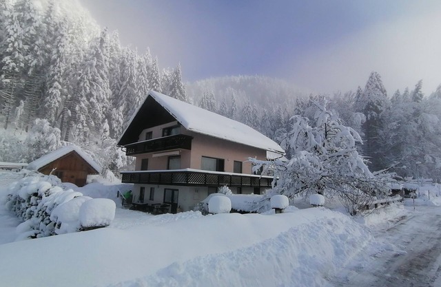 Apartment comfort 90 m2 for 4-6 persons, Ratece-Planica, near Kranjska Gora, Slo