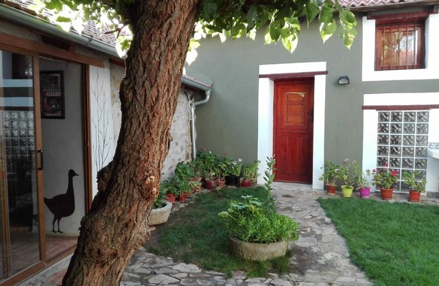 Apartment Ainara