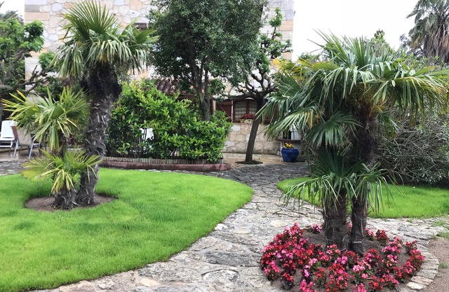 apartment/flat - PORTO-VECCHIO