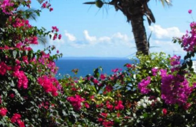 Apartment/flat - SAINT FRANCOIS