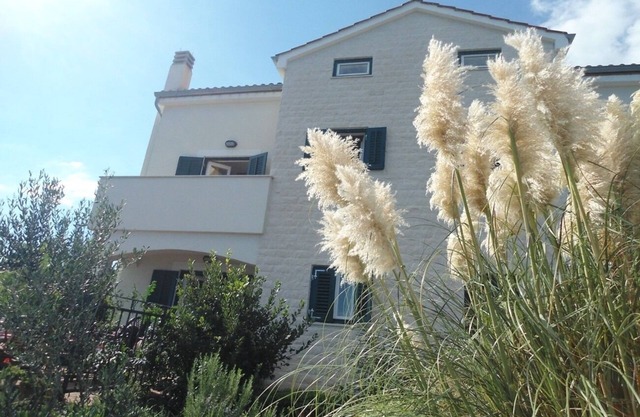 Apartment Azur - 10 m from sea: SA2(2+1) - Ilovik (Island Ilovik), Island Losinj, Croatia