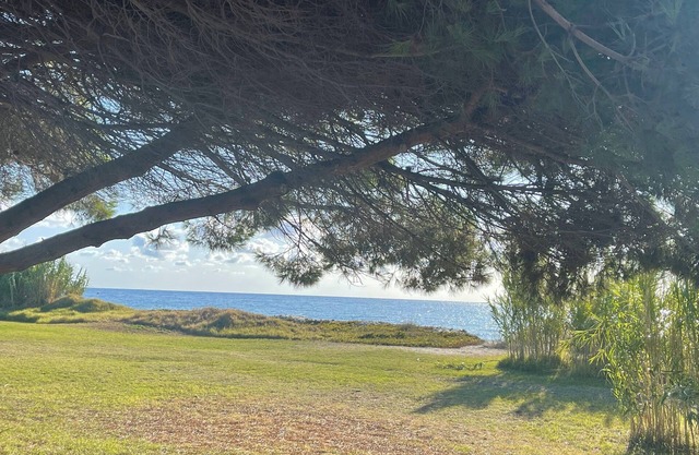 Apartment in Corsica, seaside, swimming pool, 45 minutes south of Bastia