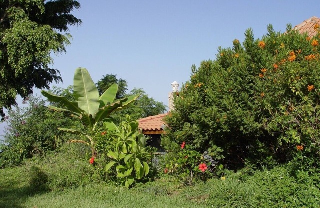 Apartment in country house with tropical garden and pool 2 bedrooms