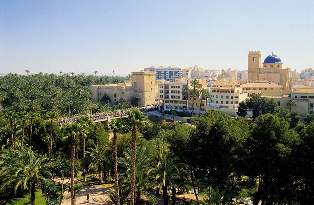 Apartment in Elche for 6 people