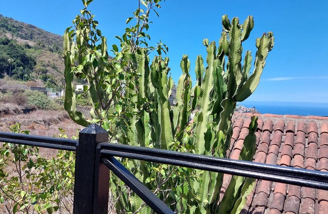 Apartment in Mexican style with sea view and private balcony