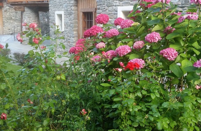 Apartment in Historical Village 700 slm a Mansion