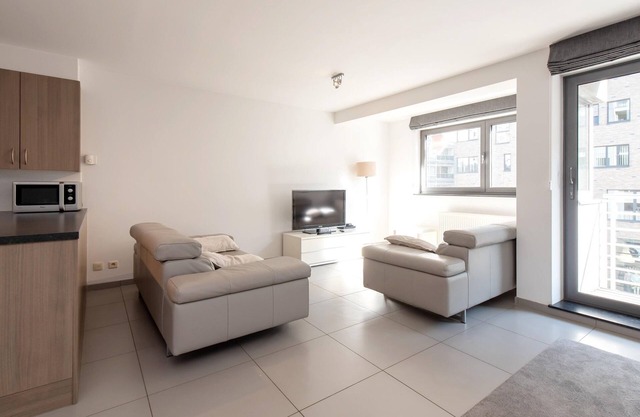 Apartment in Ostend near the Seawall