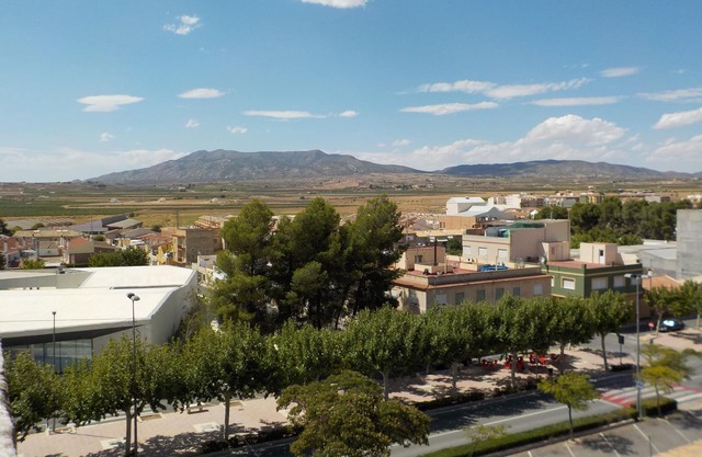 Apartment in town - great location for exploring Pinoso and the surrounding area