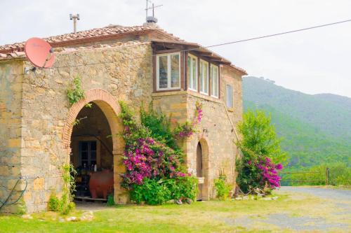 Apartment in Tuscan farmhouse