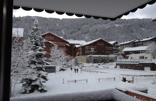 apartment LES CARROZ center tt comfort