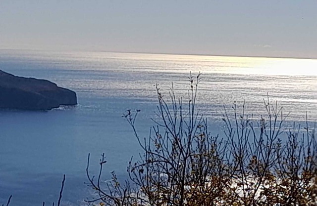 Apartment 'Mimosa' with Sea View, Wi-Fi and Air Conditioning