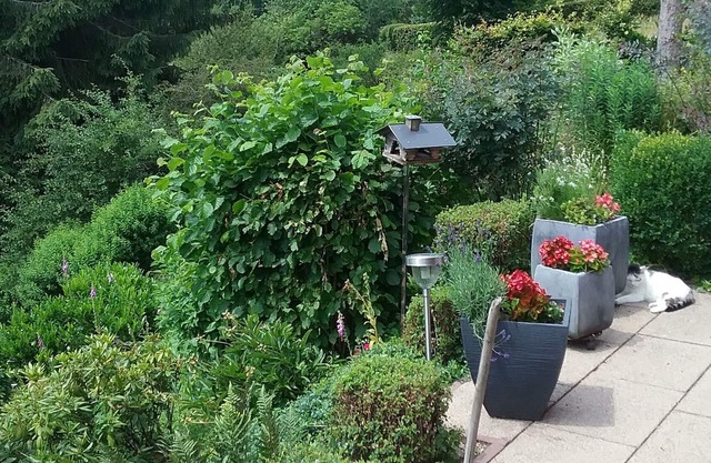 Apartment "Perlenbachtal" with Mountain View & Wi-Fi