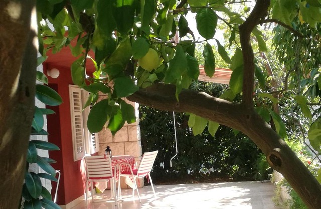 Apartment Petrović