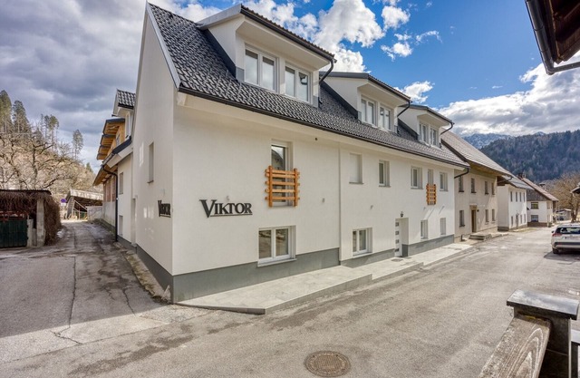 Apartment Pri Viktoru No.1