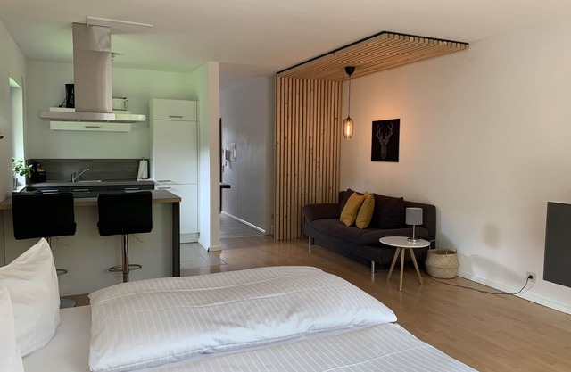 Apartment-Private Bathroom-Balcony