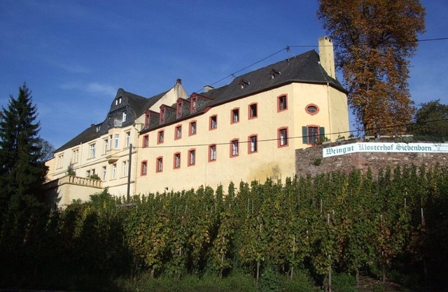 Apartment "Schwalbennest" near Bernkastel-Kues