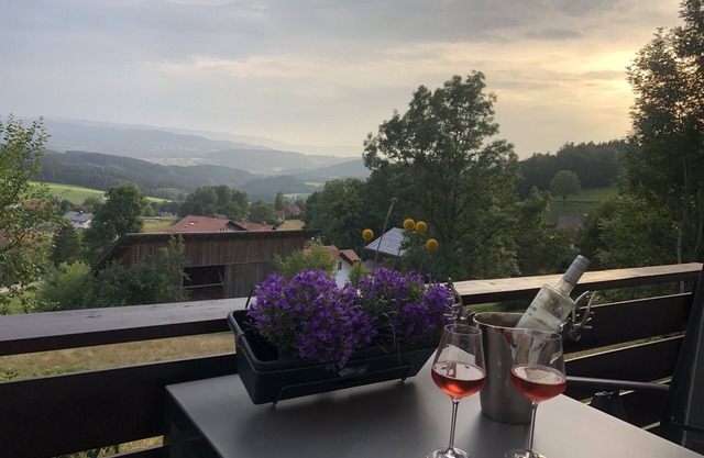 Apartment Tälerblick Maxi - with large balcony and great view