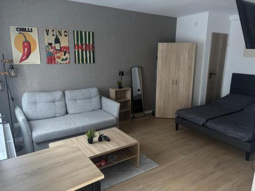 Apartment-Whiskey-Hundefreundlich